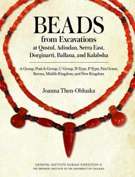 Cover art for Nubian Expedition volume 11