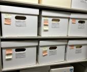 Papers of Klaus Baer in the ISAC Archives