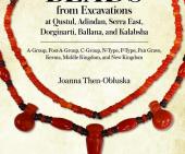 Cover art for Nubian Expedition volume 11