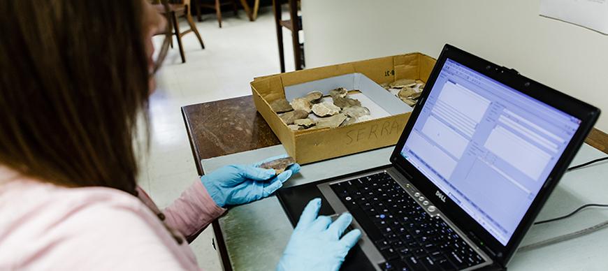 Registrar Susan Allison inputs data about an object into the Institute for the Study of Ancient Cultures' Integrated Database