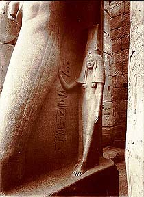 Queen Nefertari at Luxor Temple  Institute for the Study of Ancient  Cultures