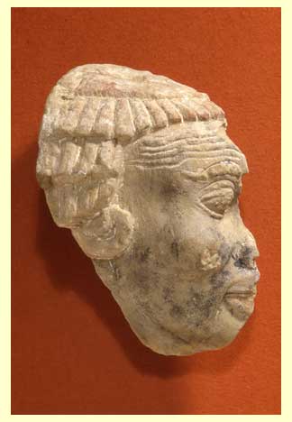 Head of Nubian