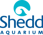 logo_shedd_0.png